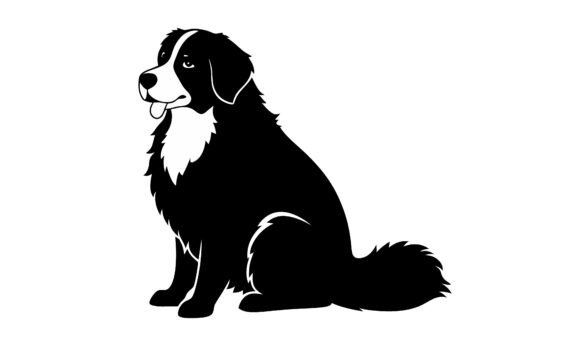 Black and White Bernese Mountain Dog Review