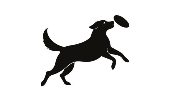 Black Dog Catching Flying Frisbee