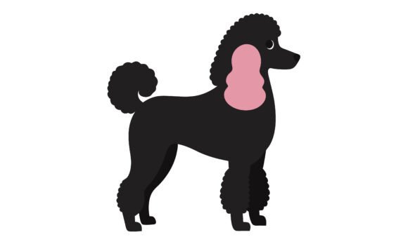 Black Poodle Dog Vector: An Embroidery Designer's Take