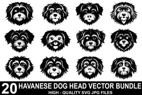 Havanese Dog Head Vector Bundle