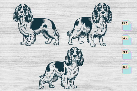 Irish Setter Dog Breed Head Happy Face
