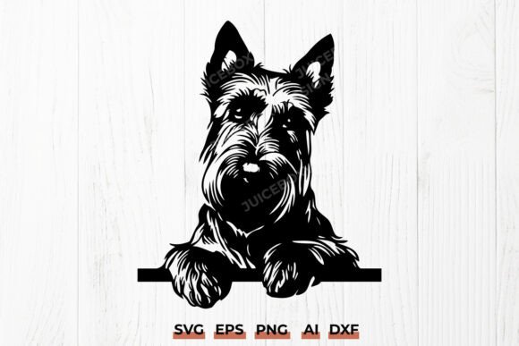 Scottish Terrier Peeking Scottie SVG DXF