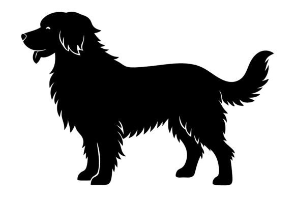 Shaggy Dog Silhouette Graceful Canine