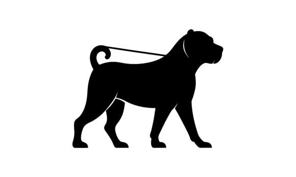 Silhouetted Dog on Leash Walking